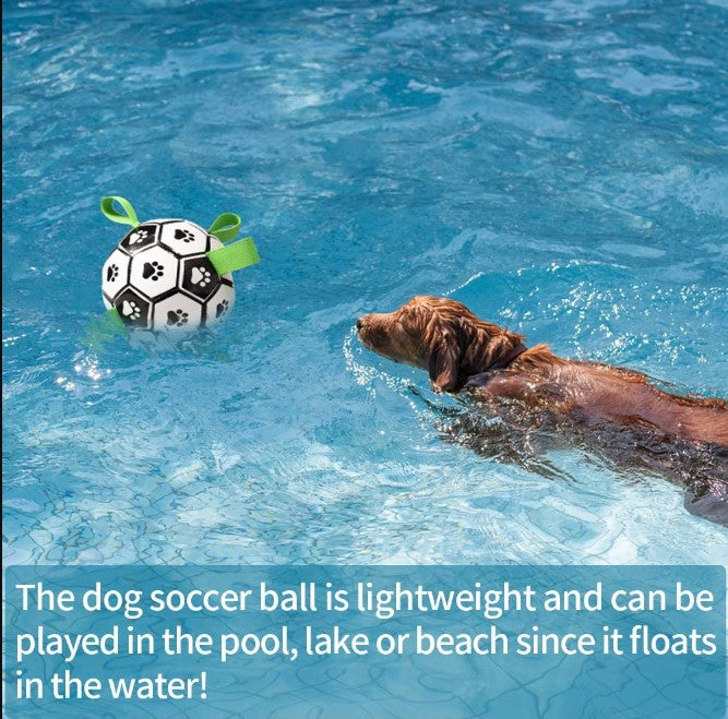 Pawtastic PlayKick: Quality Soccer Ball for Dogs
